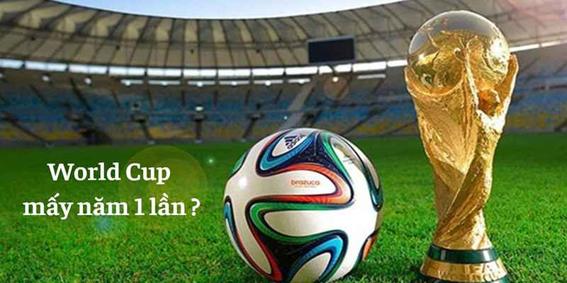 World Cup mấy năm một lần thông tin